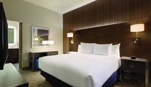 Suite, 1 King Bed, Accessible