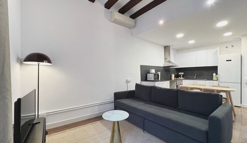 Apartment (3 Bedrooms)