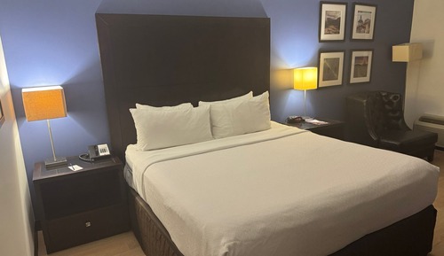 Room, 1 King Bed, Non Smoking