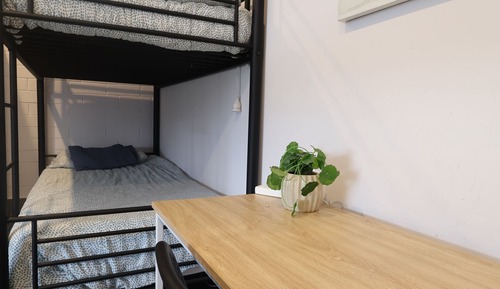 4 bed mixed dorm