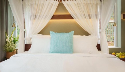 Enchanted Haven (Adults Only)