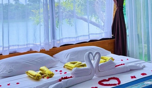Room, Lanai