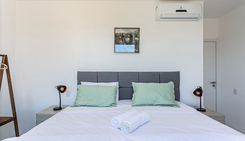 Basic Apartment