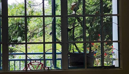 Standard Apartment, 5 Bedrooms, Mountain View