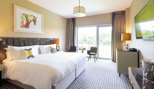 Standard Room, 1 King Bed, Terrace (Paddock View)