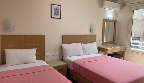 Deluxe Apartment, City View