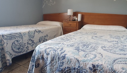 Basic Twin Room, Hill View