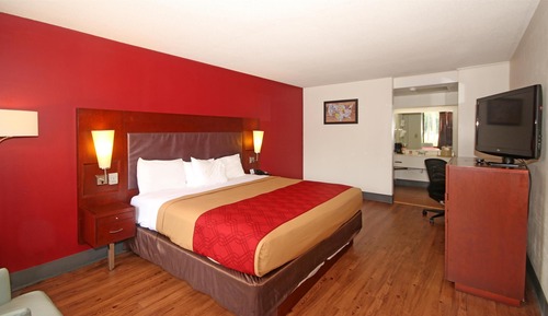 Room, 1 King Bed