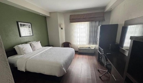 Standard Single Room, 1 Twin Bed