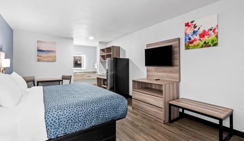 Standard Single Room, 1 King Bed, Non Smoking (Efficiency)