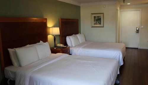 Double Room, Mountain View