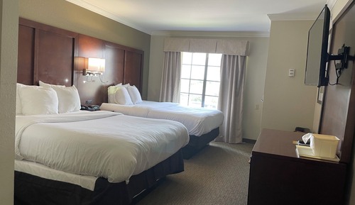 Basic Double Room