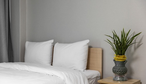 Standard Double or Twin Room, Mountain View