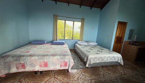 Basic Room, Multiple Beds, Sea View