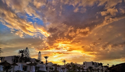 Apartment (1 Bedroom)