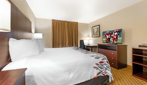 Deluxe Room, 1 King Bed, Accessible, Non Smoking (Roll-In Shower)