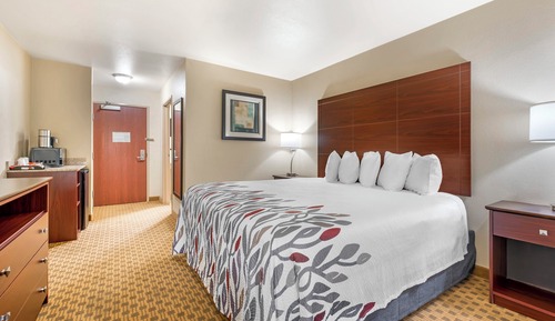 Superior Room, 1 King Bed, Non Smoking