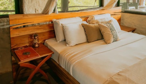 Standard Triple Room, Park View