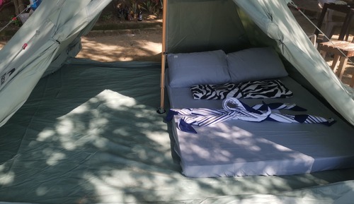 Basic Tent