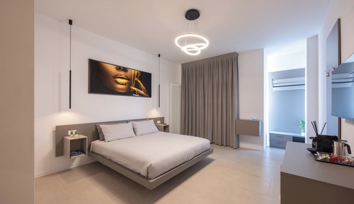 Luxury Room, 1 King Bed, Private Bathroom, City View