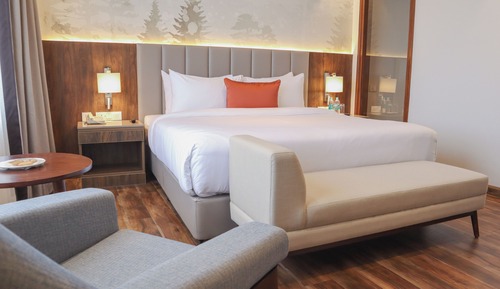 Executive Suite, 1 King Bed, Bathtub, Mountain View (Separate Living Room)