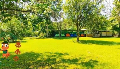 Standard Tent, Garden View