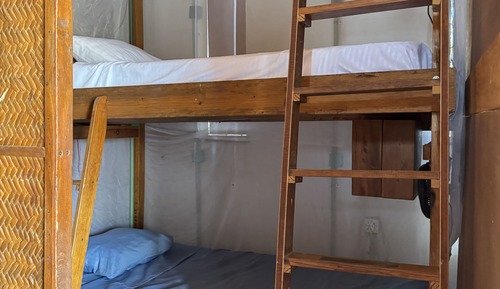 Basic Shared Dormitory, Women only