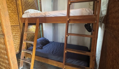 Economy Shared Dormitory, Mixed Dorm, Pets Allowed