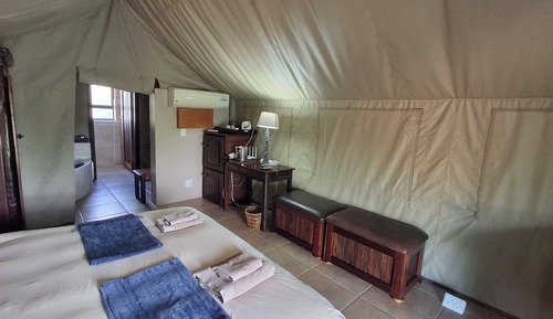 Premium Tent