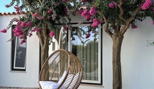 Comfort House, Garden View