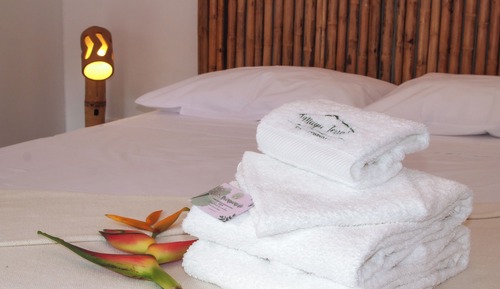 Standard Single Room, 1 Double Bed