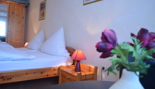 Basic Single Room