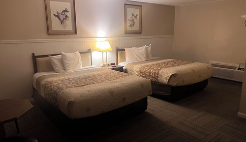 Standard 2 Queen Beds Non-Smoking