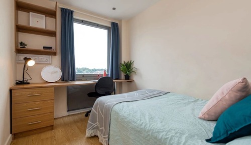 Single Room, Non Smoking