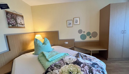 Classic Single Room, 1 Queen Bed, Mountain View
