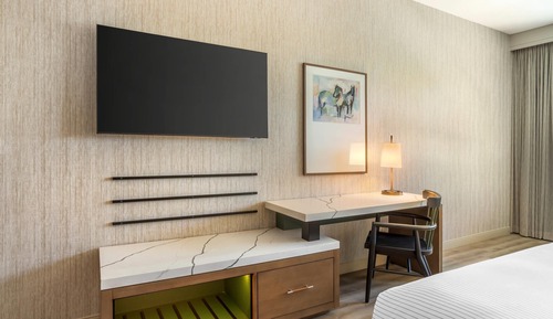 Suite, 1 King Bed with Sofa bed, Non Smoking (Efficiency, Upgrade)