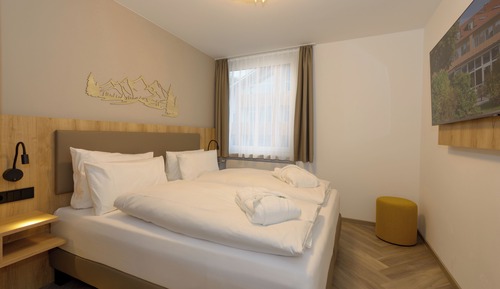 Standard Double Room Single Use, 1 Queen Bed