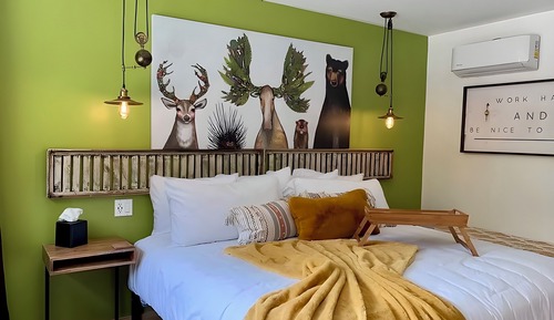 Room, 1 King Bed