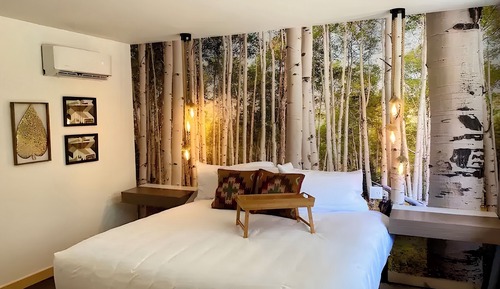 Room, 1 King Bed