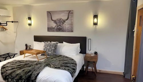 Room, 1 King Bed