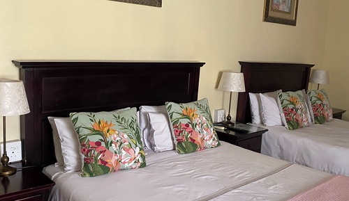 Family Double or Twin Room