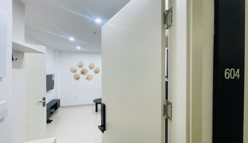 Basic Apartment