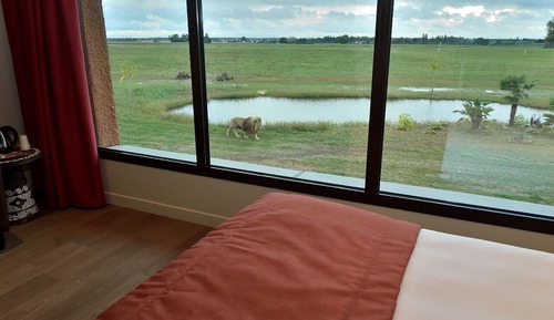 Family Double Room, Park View