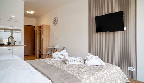 Standard Studio Suite, Pets Allowed, Pool View