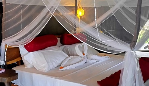 Luxury Tent, Garden View