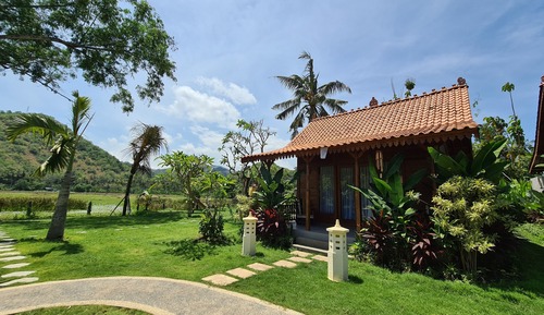 Deluxe Double Room, Patio, Pool View