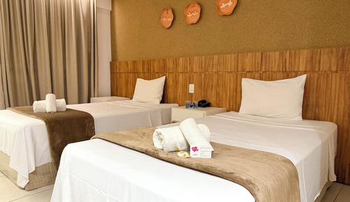 Deluxe Apartment, City View