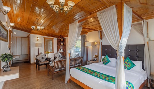 Premium Room