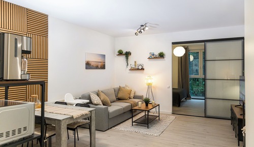 Comfort Apartment, 1 King Bed with Sofa bed