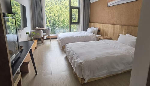Deluxe Twin Room, Mountain View